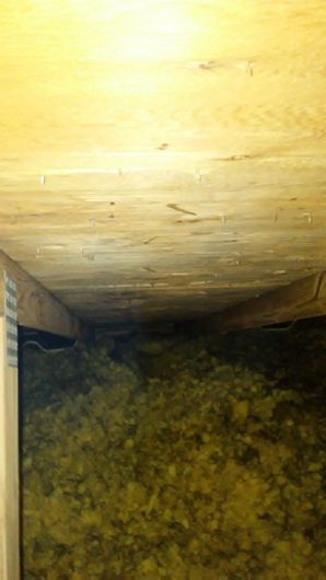 Before & After Mold Remediation in Harvey, IL (2)