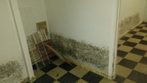 Before & After Mold remediation in Richton Park, IL (1)