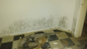 Before & After Mold remediation in Richton Park, IL (2)