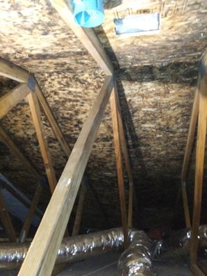 Before & After Mold Remediation in Richton Park, IL (1)