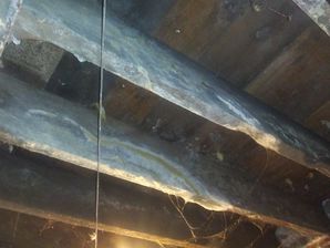 Before & After Mold Remediation of Crawlspace in Richton Park, IL (3)