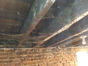 Before & After Mold Remediation of Crawlspace in Richton Park, IL (4)
